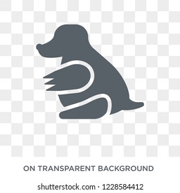 Mole icon. Trendy flat vector Mole icon on transparent background from animals  collection. 