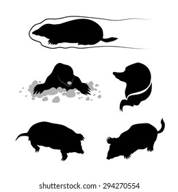 Mole icons and silhouettes. Set of illustrations in different poses.