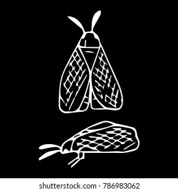 Mole insect vector illustration. Doodle style. Design, print, decor, textile, paper