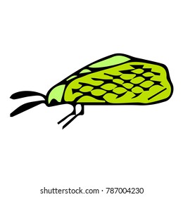 Mole insect vector illustration. Doodle style. Design, print, decor, textile, paper
