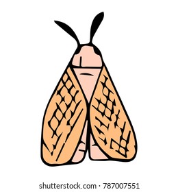 Mole insect vector illustration. Doodle style. Design, print, decor, textile, paper