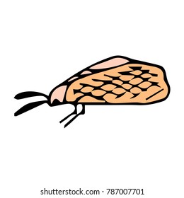 Mole insect vector illustration. Doodle style. Design, print, decor, textile, paper