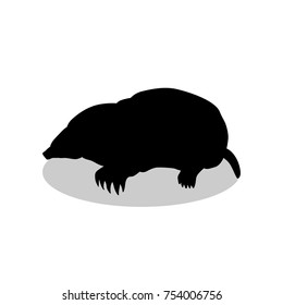 Mole insectivores mammal black silhouette animal. Vector Illustrator.