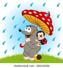 mole ladybug snail rain  - vector  illustration, eps