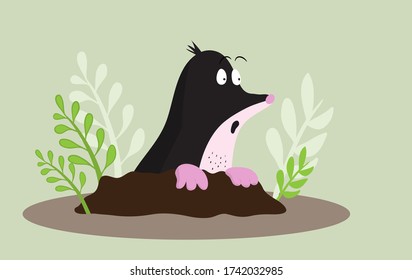 Mole looks  in surprise. Cartoon humor illustraion