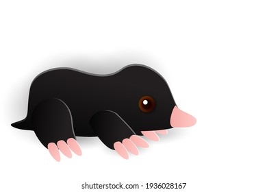 Mole paper craft of animals, vector art and illustration. Teaching materials concept