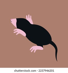 Mole - side view, illustration, cartoon
