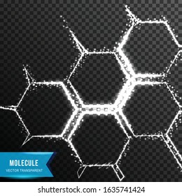 molecular background from connecting dot and line. light effect. vector illustration, isolated on transparent background