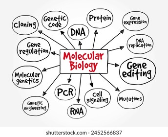 Molecular Biology - branch of biology that studies the molecular basis of biological activity, mind map text concept background
