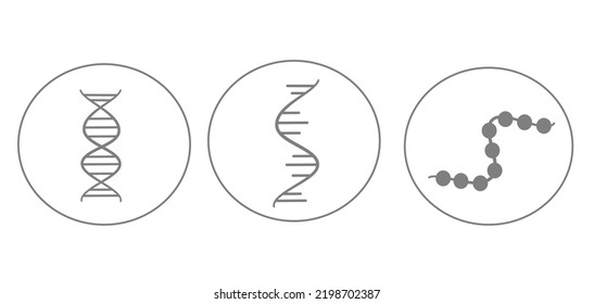 The Molecular Biology Of DNA, RNA And Protein Structure That Represents In Icon Concept