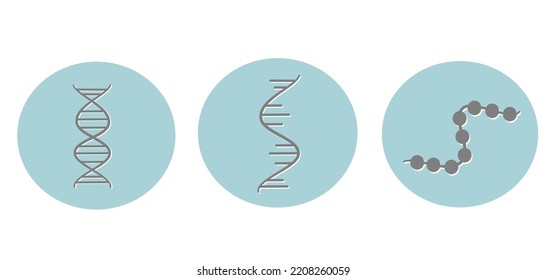 The Molecular Biology Icon Of DNA RNA  And Protein Structure 