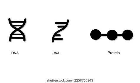 The molecular biology icon of DNA RNA and protein in black color concept for science content, poster, banner and other.