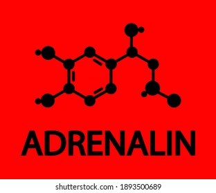 Molecular formula of adrenaline. Symbol. Vector illustration.