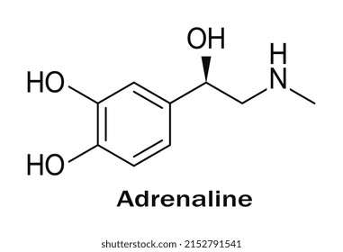 Molecular formula of adrenaline, vector structure of molecule on white background