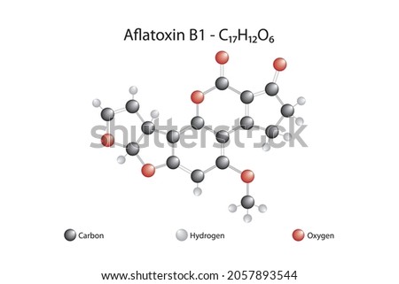 Molecular formula of aflatoxin. Aflatoxin B 1 is an aflatoxin. It is a very potent carcinogen.