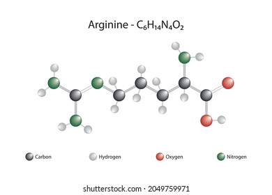 Molecular formula of arginine. Arginine is one of the 20 amino acids that make up the structure of proteins found in nature.