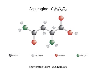 Molecular formula of asparagine. Asparagine is one of the 20 amino acids that make up proteins.
