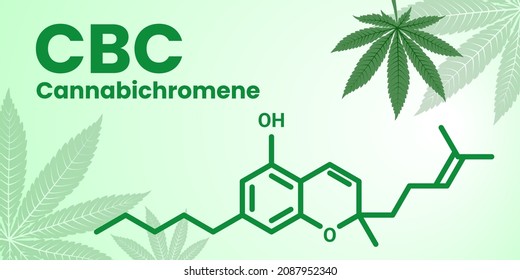 Fórmula molecular de Cannabichromene CBC - encontrada en la planta de Cannabis. Pancarta vectorial de una fórmula con título y hoja de marihuana en el fondo claro.