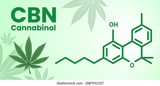 The molecular formula of Cannabinol CBN -  non-psychoactive cannabinoid. Vector banner of a formula with title and marihuana leaf on the light background.