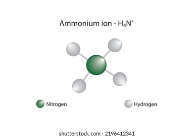 Molecular Formula Chemical Structure Ammonium Ion Stock Vector (Royalty ...