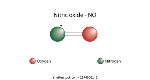 Molecular Formula Chemical Structure Nitric Oxide Stock Vector (Royalty ...
