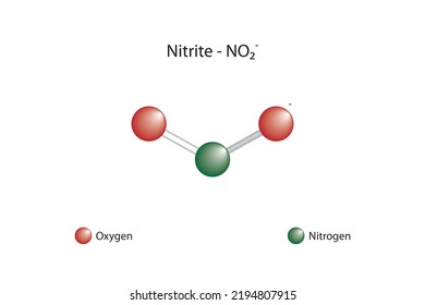 Molecular Formula Chemical Structure Nitrite Stock Vector (Royalty Free ...