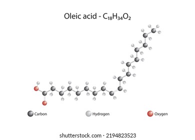 Molecular Formula Chemical Structure Oleic Acid Stock Vector (Royalty ...