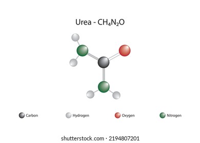 Molekulare Formel und chemische Struktur des Harnstoffs