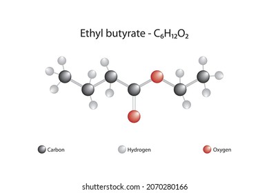 Molecular formula of ethyl butyrate. Ethyl butyrate, also known as ethyl butanoate, or butyric ether, it is commonly used as artificial flavoring resembling orange juice