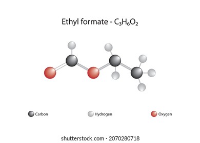 Molecular formula of ethyl formate. Ethyl formate is an ester formed when ethanol reacts with formic acid. It has the smell of rum. It occurs naturally in the body of ants and in the bites of bees.