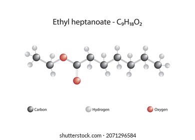 Molecular formula of ethyl heptanoate. Ethyl heptanoate is the ester resulting from the condensation of heptanoic acid and ethanol. It is used in the flavor industry because of its grape scent.
