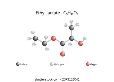 Molekulare Formel von Ethyllactat. Ethyllactat ist organische Verbindung. Es ist der Ethylester von Milchsäure. Es ist eine farblose Flüssigkeit, ein chiraler Ester.