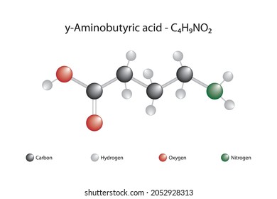 Molecular formula of gamma aminobutyric acid. Gamma aminobutyric acid is a chemical substance that plays an active role in the nervous system.