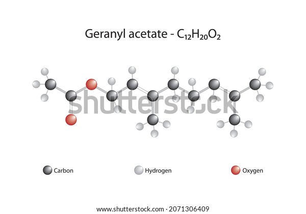 Molecular Formula Geranyl Acetate Geranyl Acetate Stock Vector (Royalty ...