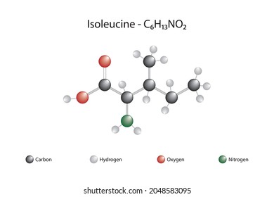 Fórmula molecular de isoleucina. La aisleucina es uno de los 20 aminoácidos esenciales codificados por el ADN, que se encuentran en la estructura de las proteínas. L-isoleucina.