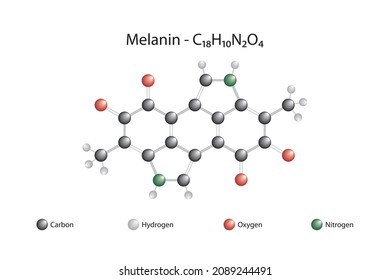Molecular Formula Melanin Melanin Brownishyellow Pigment Stock Vector Molecular Formula Melanin Melanin Brownishyellow Pigment Stock Vector