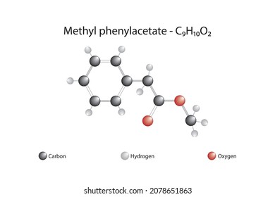 Molecular formula of methyl phenylacetate. Methyl phenylacetate is an organic compound that is the methyl ester of phenylacetic acid. Methyl phenylacetate has a strong honey-like odor.