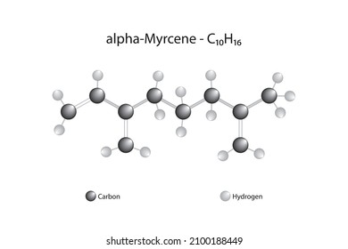 Molecular Formula Of Myrcene. Myrcene Is An Alkene Natural Hydrocarbon.