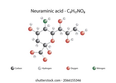 Fórmula molecular del ácido neuraminico. El ácido neuraminico es un aminoazúcar ácido con una espina dorsal formada por nueve átomos de carbono.