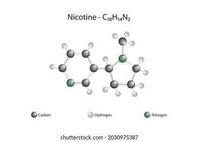 Molecular formula of nicotine. Nicotine is a potent stimulant and alkaloid found in the nightshade plant family.