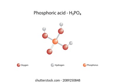 Molecular Formula Of Phosphoric Acid. Phosphoric Acid Is A Mineral Acid. It Participates In The Structure Of DNA And RNA. It Is Found In The Structure Of All Nucleotides.