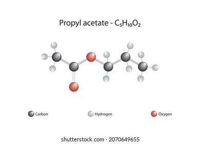 Molecular formula of propyl acetate. Propyl acetate, also known as propyl ethanoate, is known for the characteristic odor of pears.