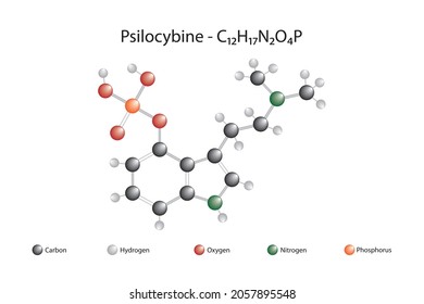 Molecular formula of psilocybin. Psilocybin is a hallucinogenic substance obtained from Psylocybe type mushrooms.