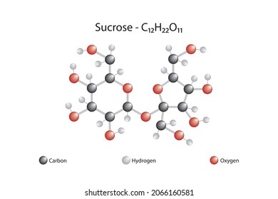 Molecular Formula Of Sucrose. Sucrose Or Tea Sugar Is A Disaccharide Formed By The Combination Of A Glucose And A Fructose Molecule.