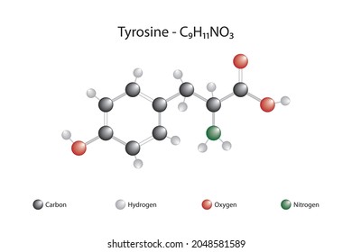 Molecular Formula Of Tyrosine. Tyrosine Is An Amino Acid Found Mostly In L Form In Nature And Found In The Structure Of Many Proteins. L Tyrosine.