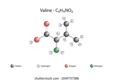 Molecular formula of valine. Valine is one of the 20 amino acids that make up proteins.