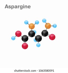 Molecular omposition and structure of Asparagine, Asn, best for books and education