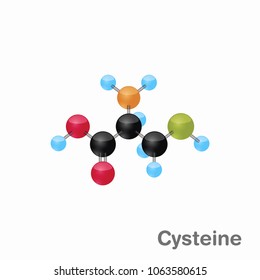 Molecular omposition and structure of Cysteine, Cys, best for books and education