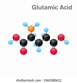 Molecular omposition and structure of Glutamic acid, Glu, best for books and education