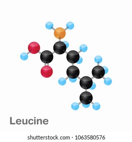 Molecular omposition and structure of Leucine, Leu, best for books and education